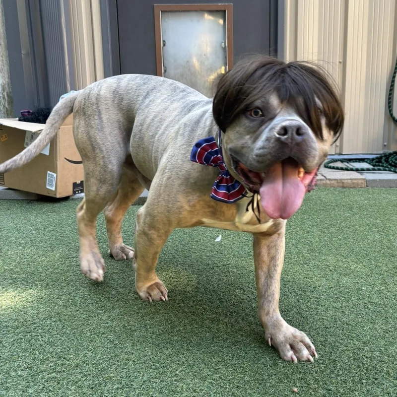 Espresso thumbnail 5