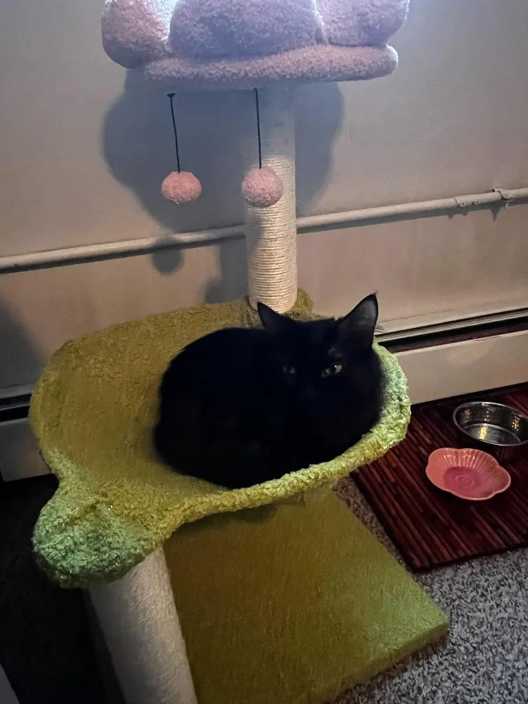 Kiki  Minnie thumbnail 2