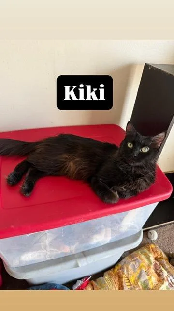 Kiki  Minnie thumbnail 3