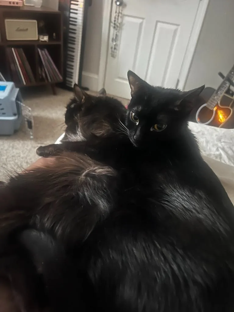 Kiki  Minnie thumbnail 4