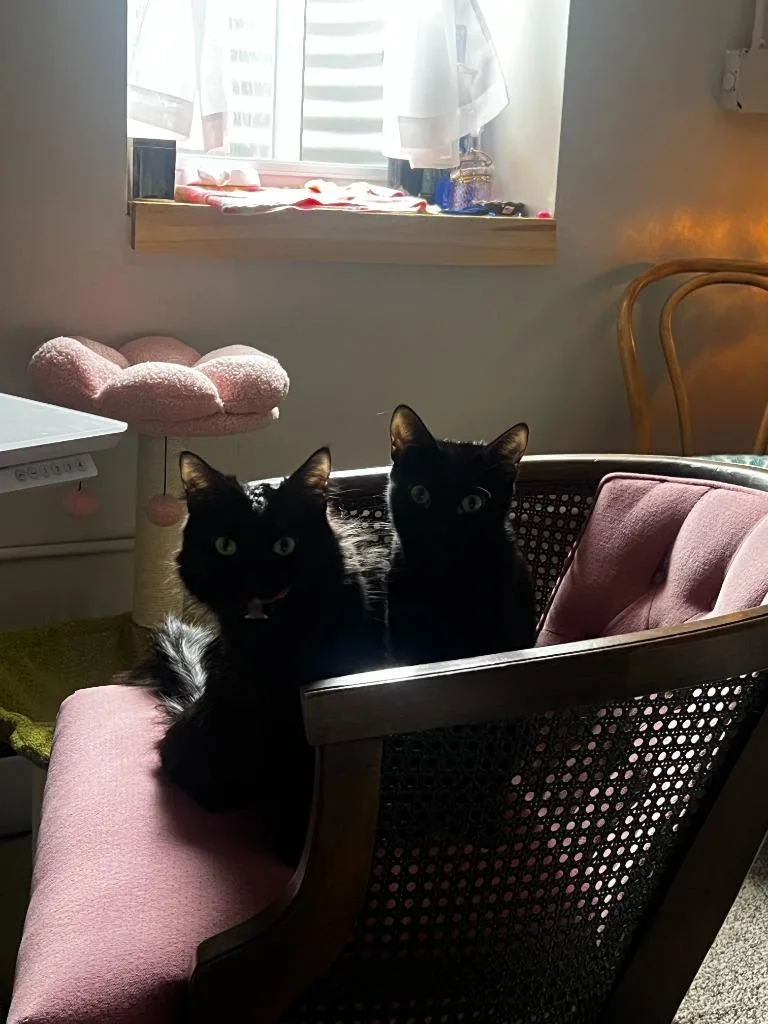 Kiki  Minnie thumbnail 5