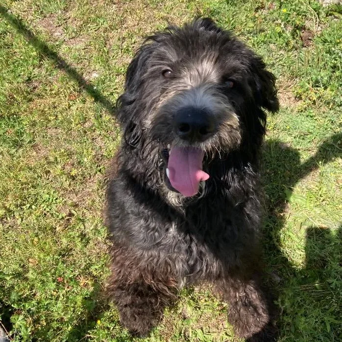 Hendricks thumbnail 2