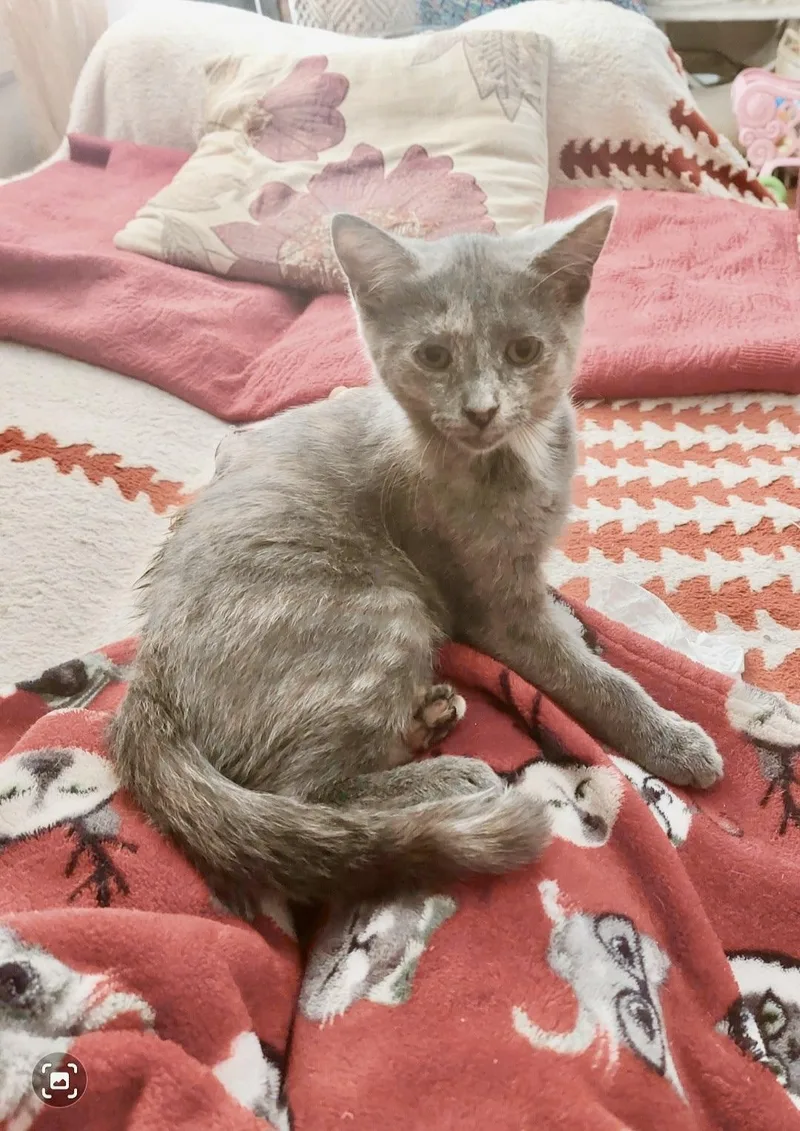 Carrie And Corrine thumbnail 3