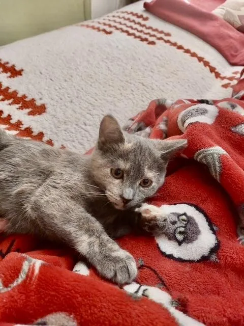 Carrie And Corrine thumbnail 4