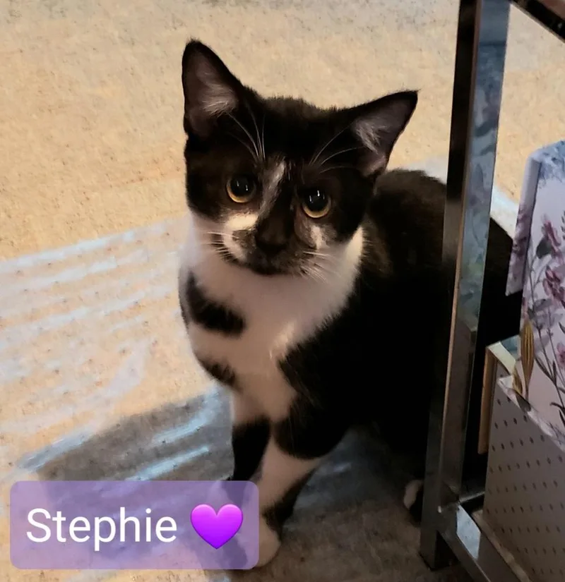 Stephie thumbnail 2