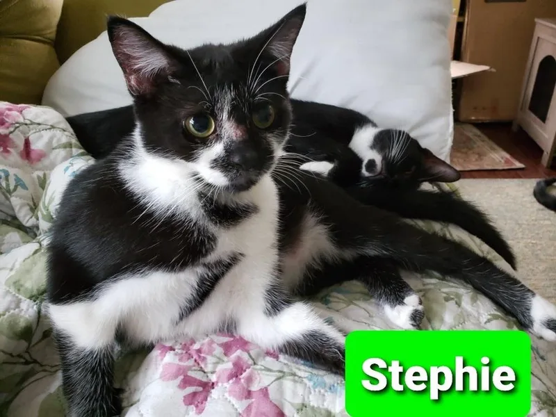 Stephie thumbnail 3