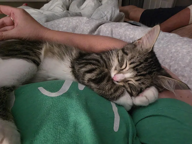 Sweetie Pie thumbnail 3