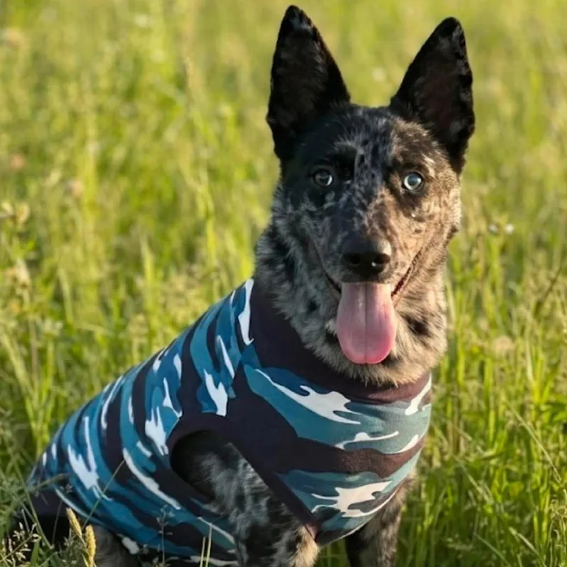 Nala thumbnail 3