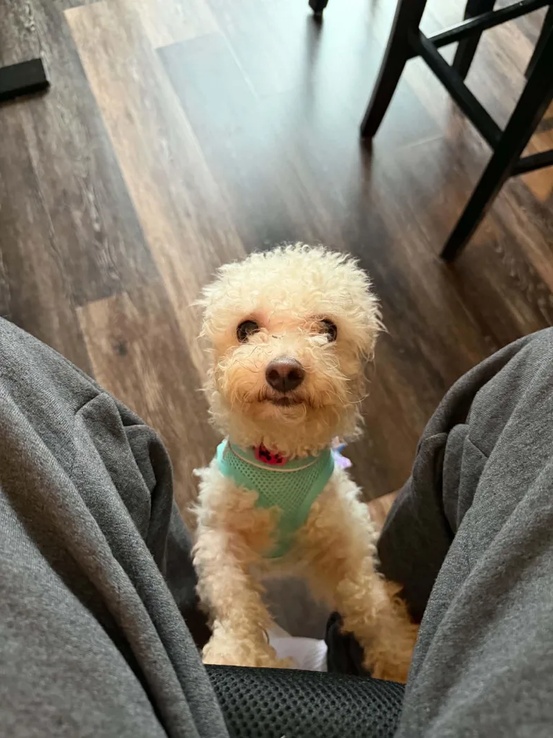 Lola thumbnail 5