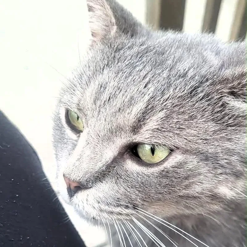 Charles