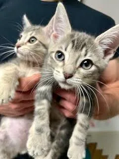 Fred & Oliver thumbnail 2