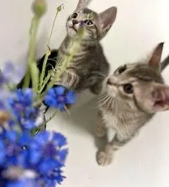 Fred & Oliver thumbnail 3