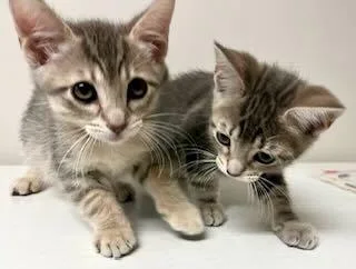 Fred & Oliver thumbnail 4