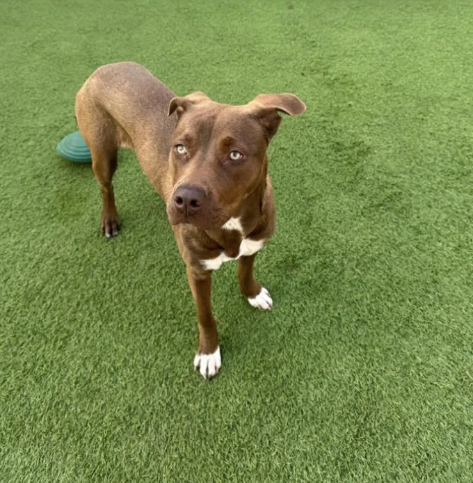 Sugar Baby thumbnail 2