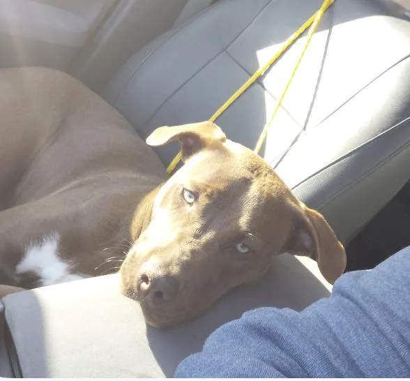 Sugar Baby thumbnail 3