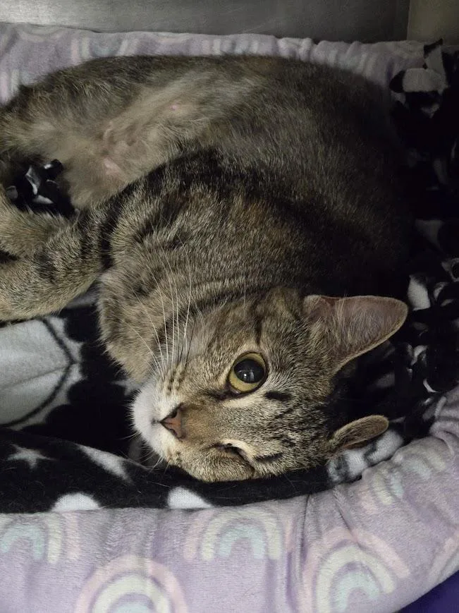 Mama Maggie