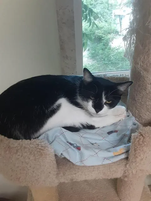 Little Bit thumbnail 2