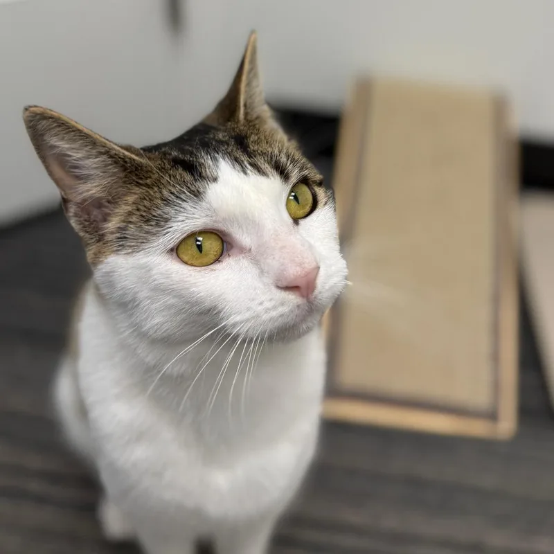 Karen thumbnail 2