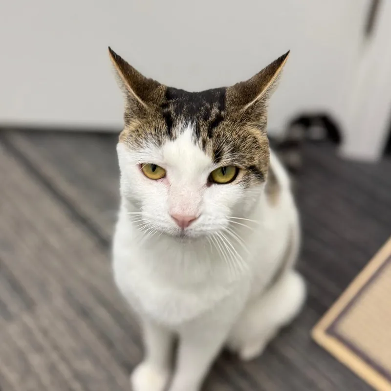 Karen thumbnail 4