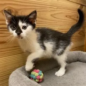 Little Bit Of Devotion