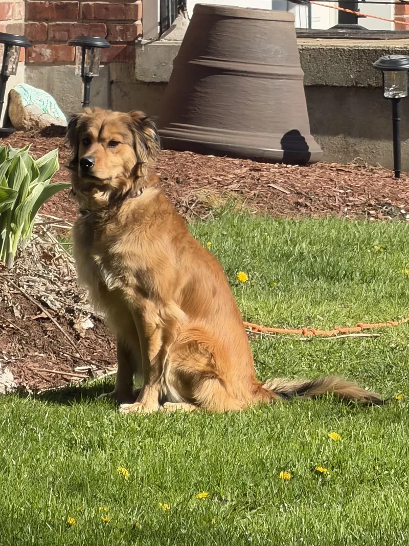 Bailey thumbnail 2