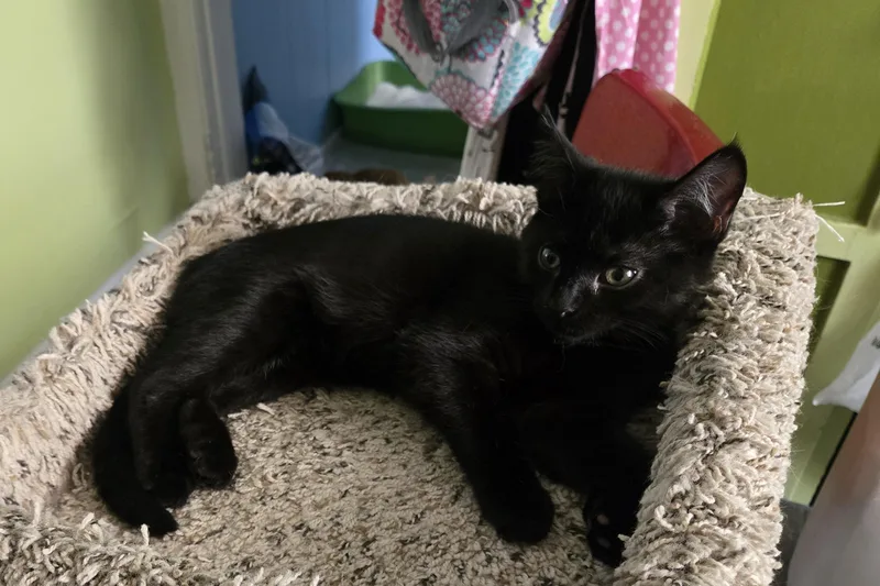 Charlotte aka "Charlie" thumbnail 2