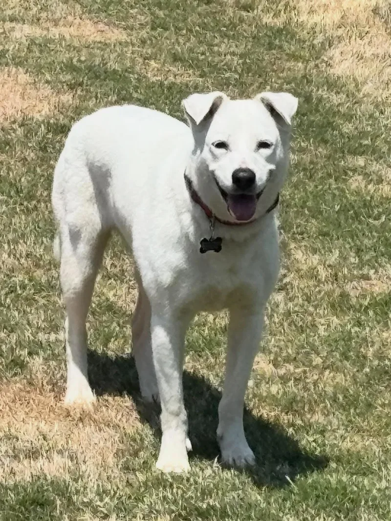 Miss Wiggles thumbnail 3