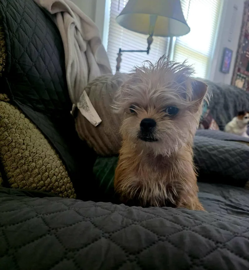 Skye