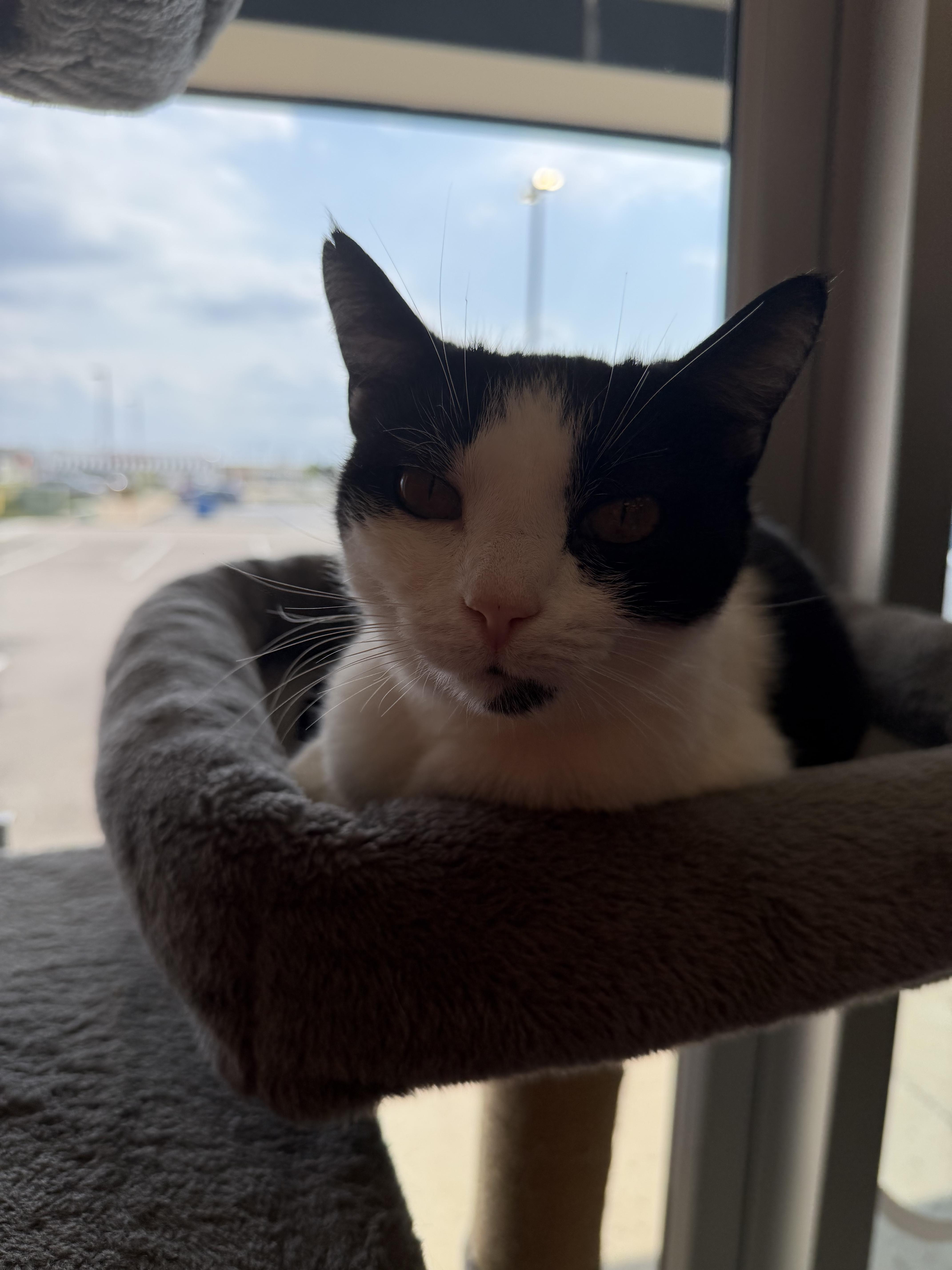 Crockpot thumbnail 2