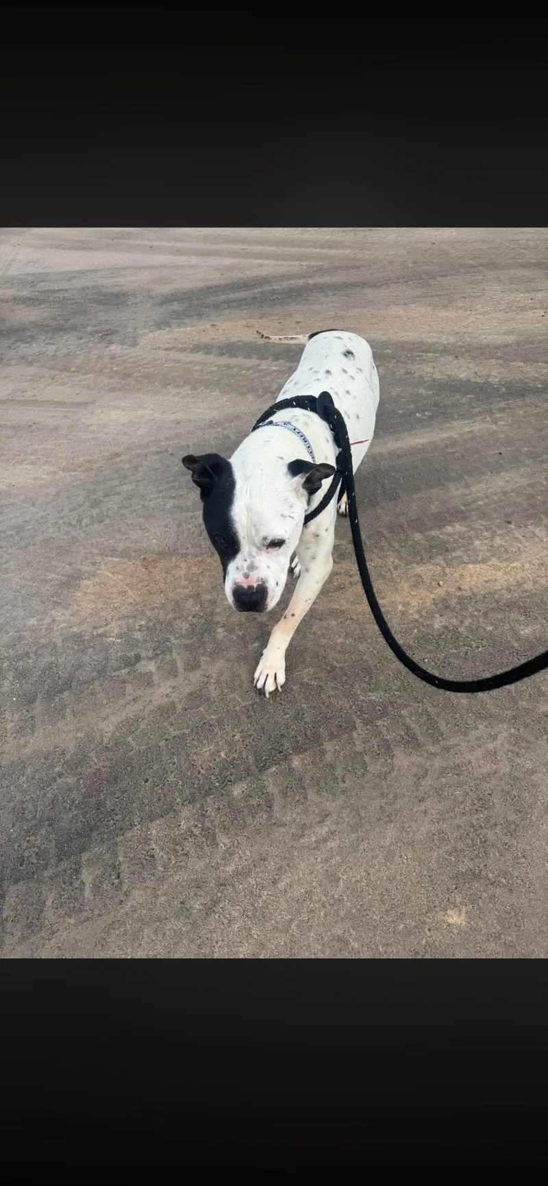 Taryn Fka Zeus thumbnail 3