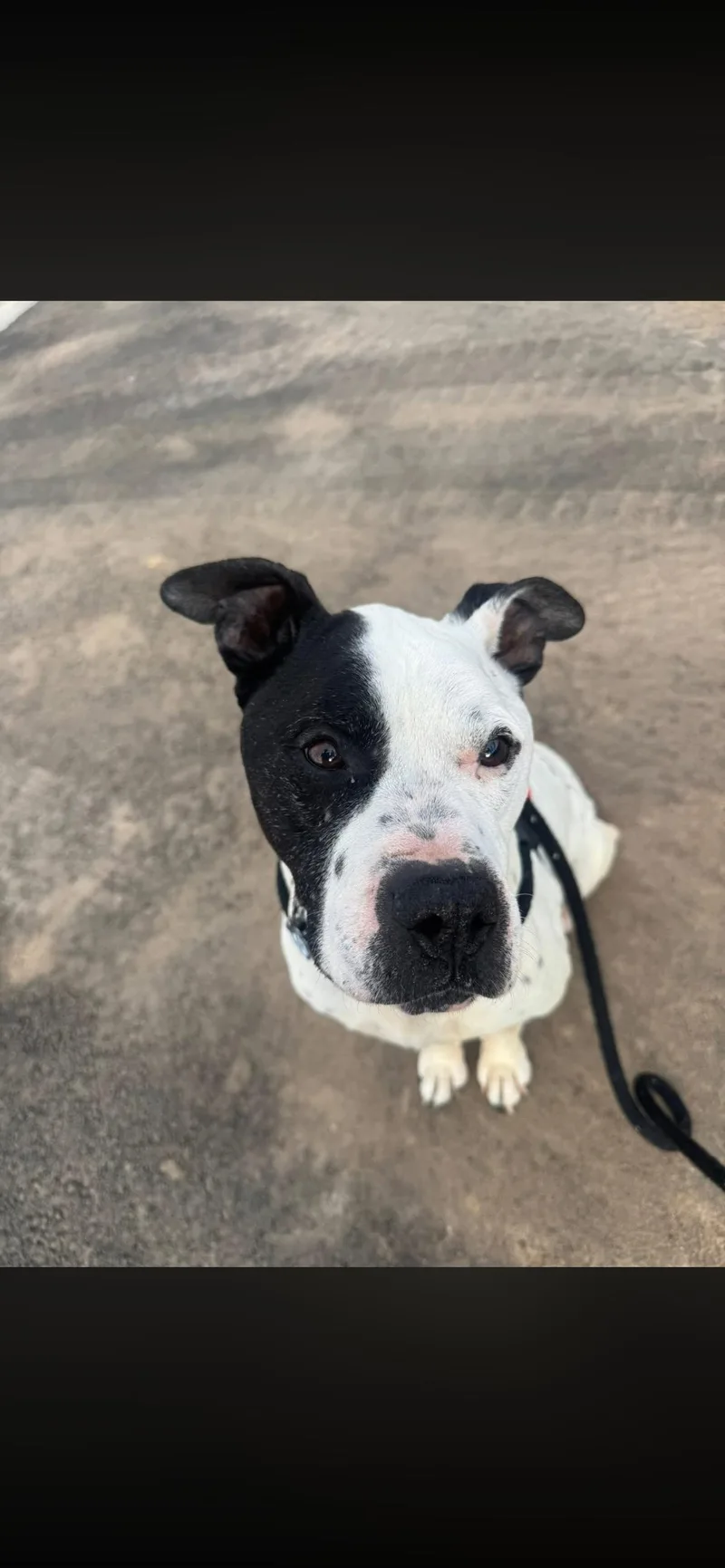 Taryn Fka Zeus thumbnail 4