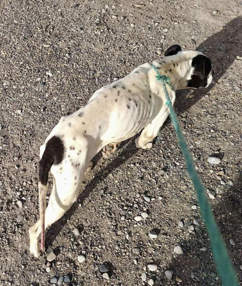 Taryn Fka Zeus thumbnail 5