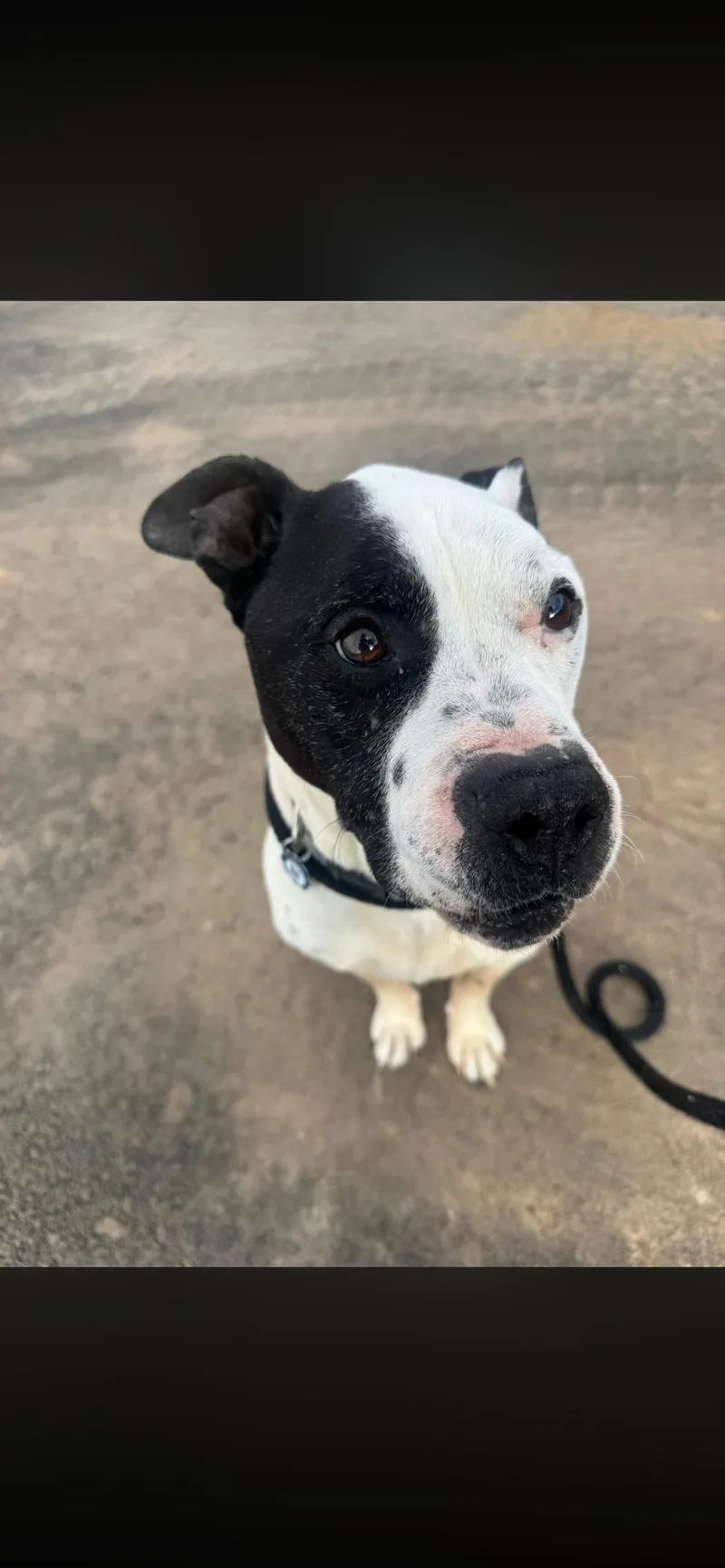 Taryn Fka Zeus thumbnail 6