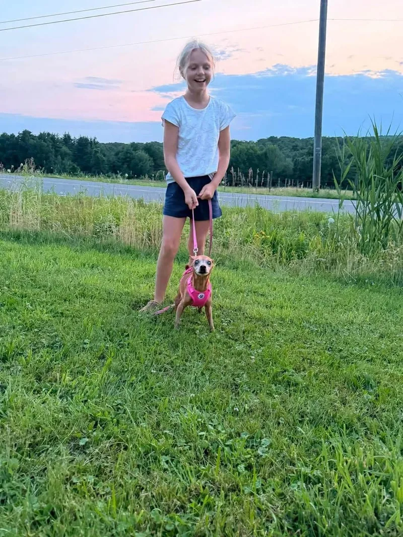 Lucy and Harley  thumbnail 5