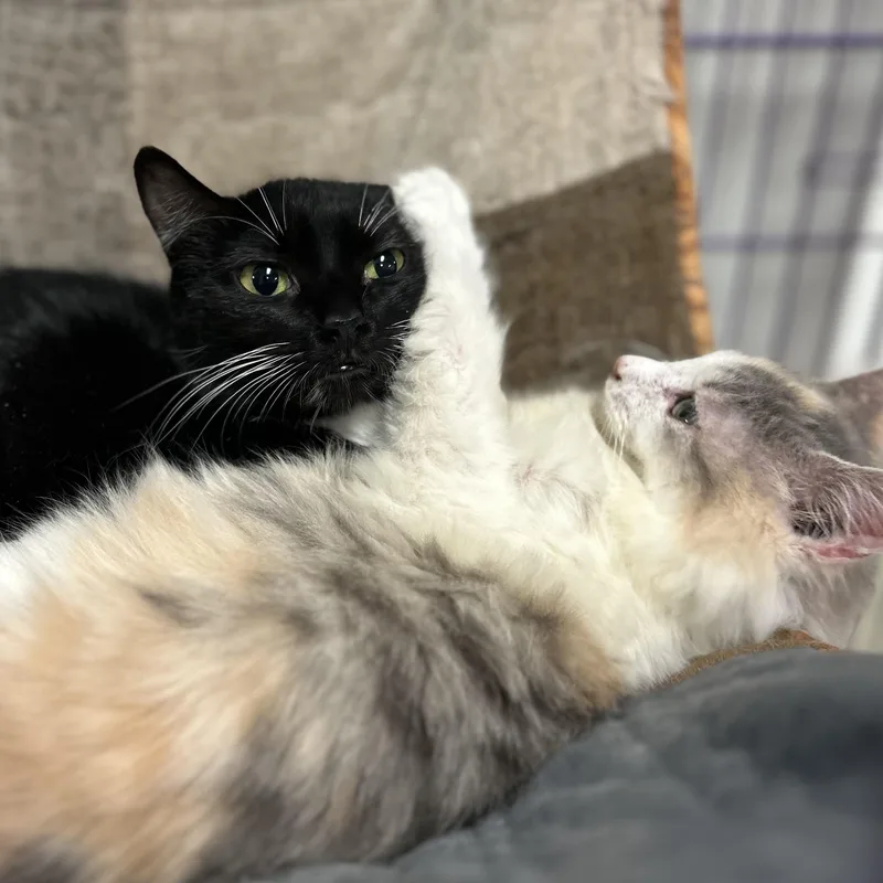 Honolulu & Hawaii thumbnail 2