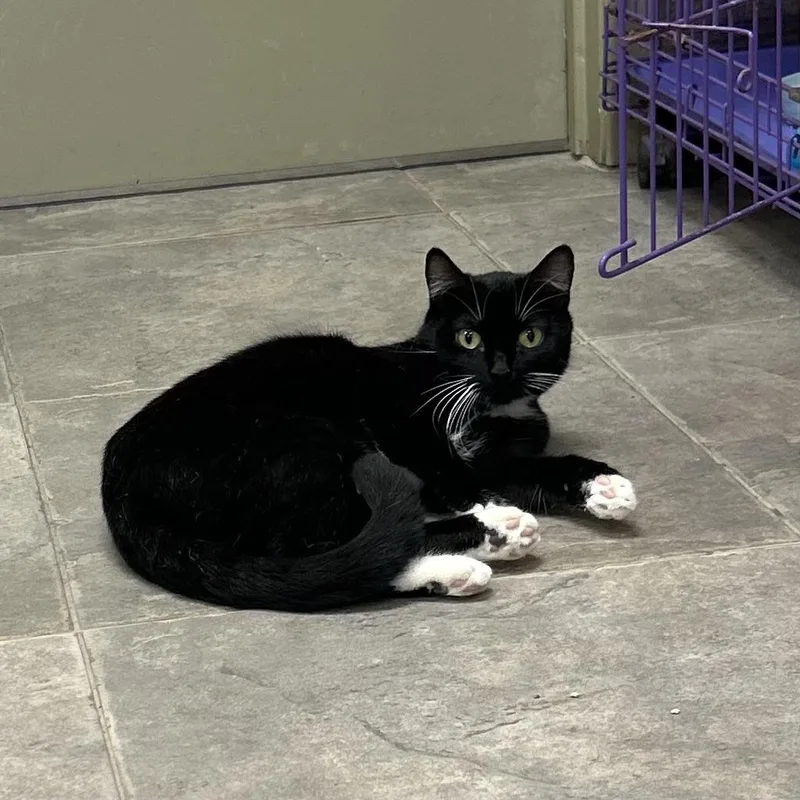 Honolulu & Hawaii thumbnail 5