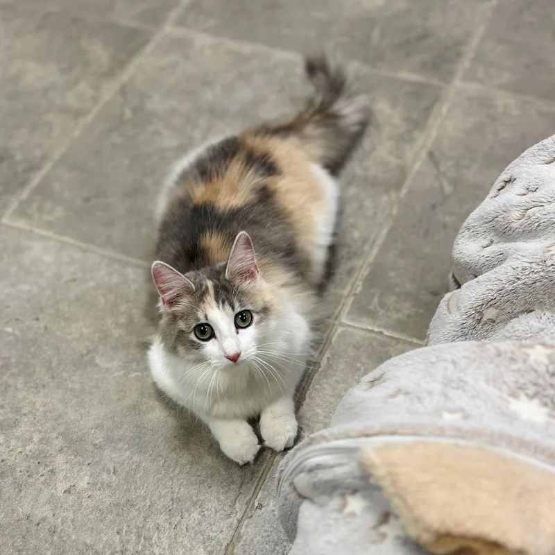 Honolulu & Hawaii thumbnail 6