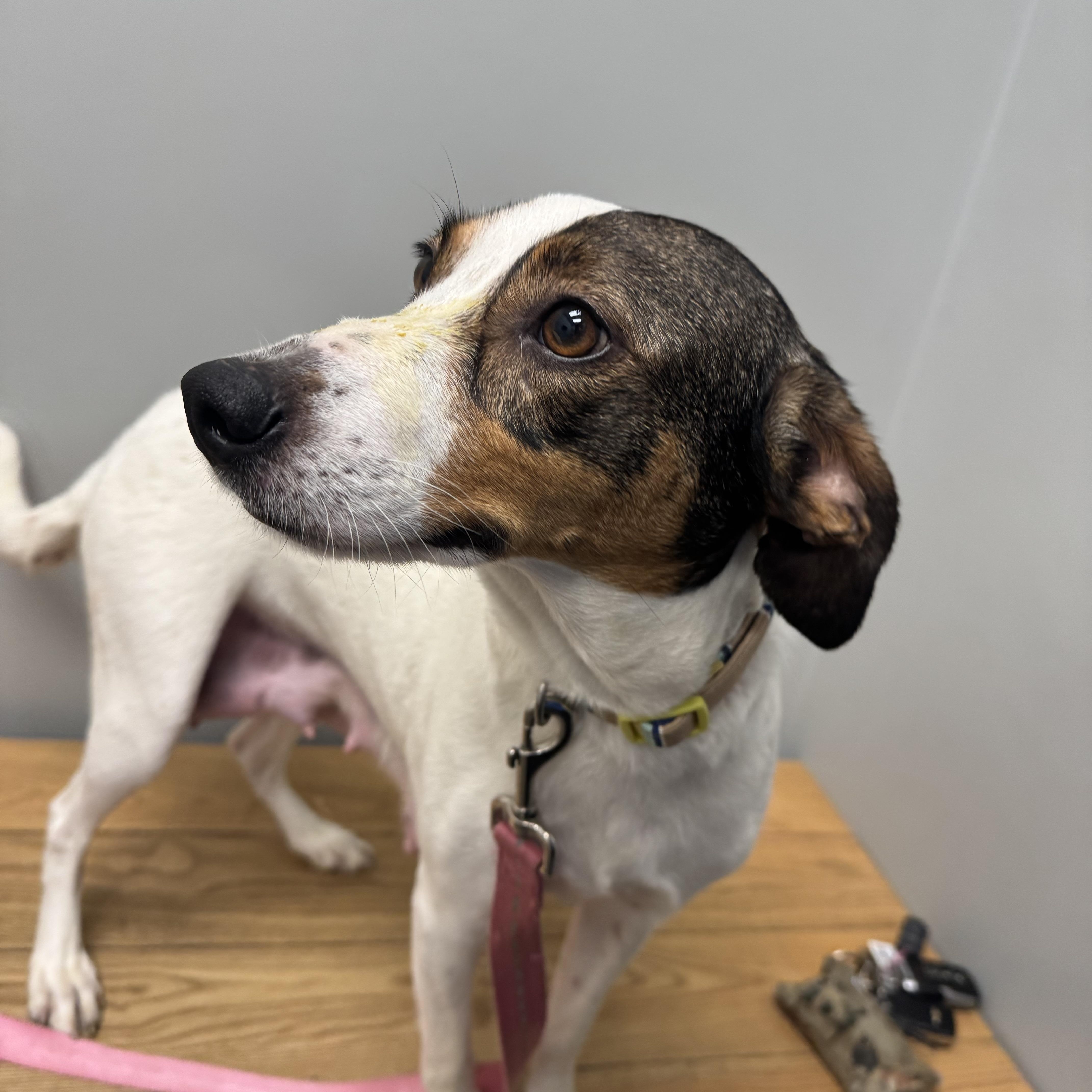 Dorie! Patient And Gentle thumbnail 3