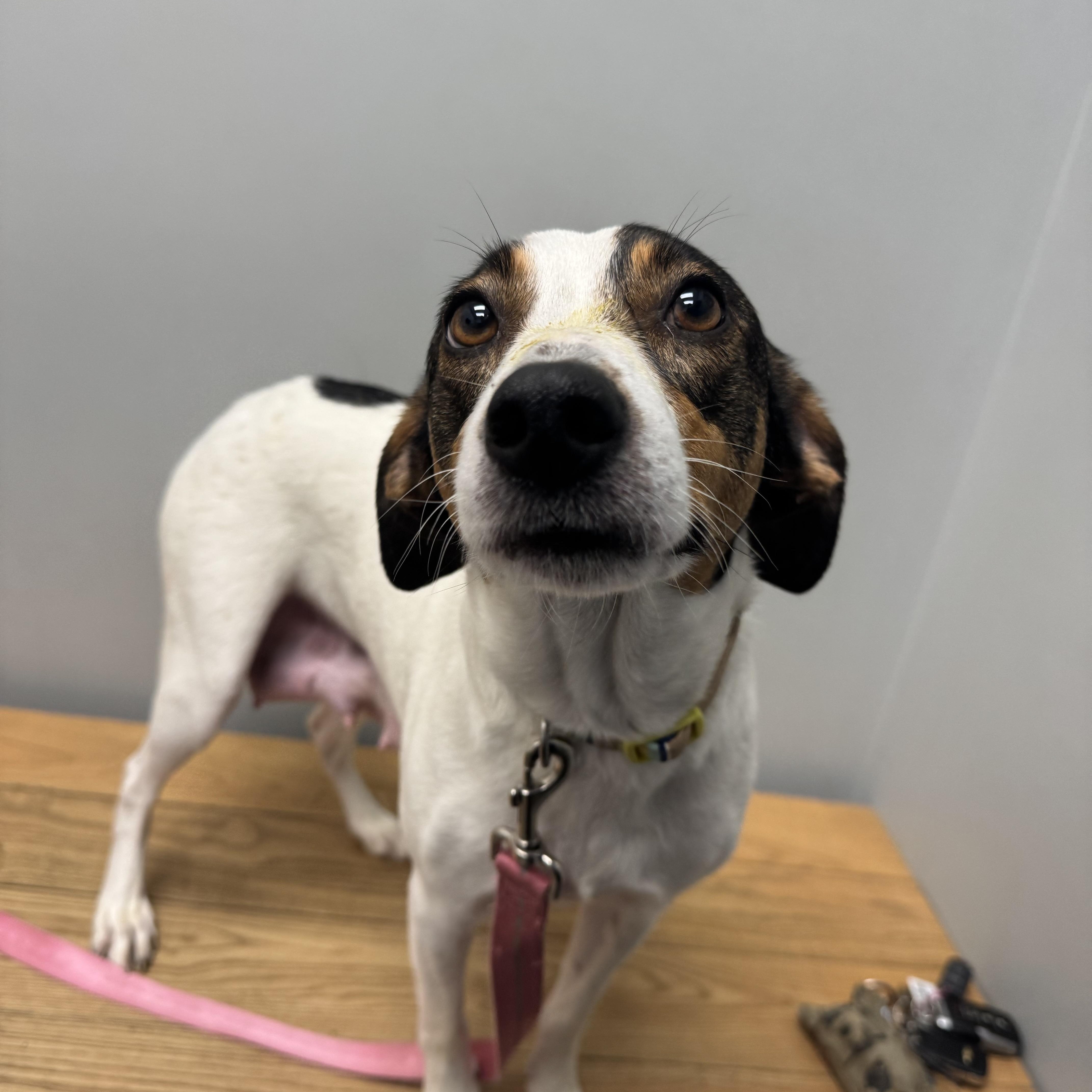 Dorie! Patient And Gentle