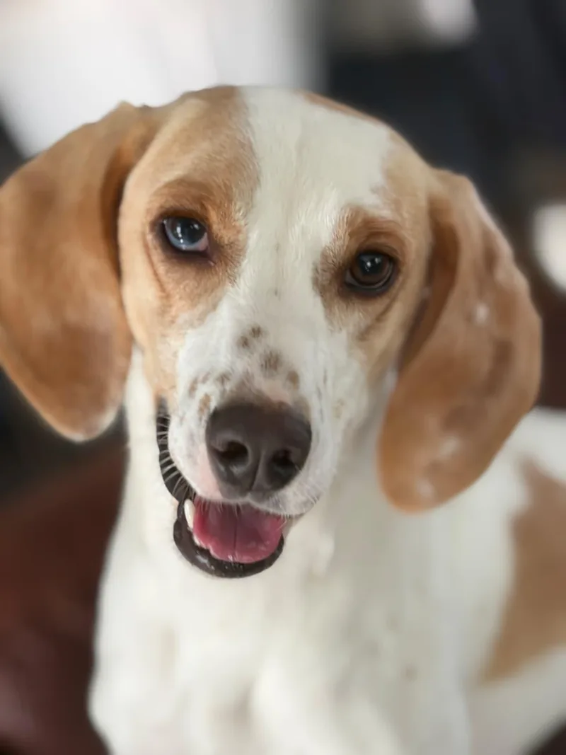 Daisy Jane thumbnail 2