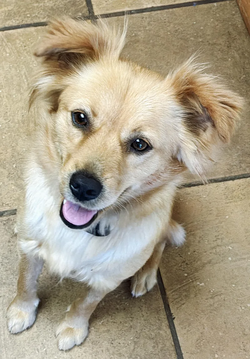 Chloe thumbnail 3