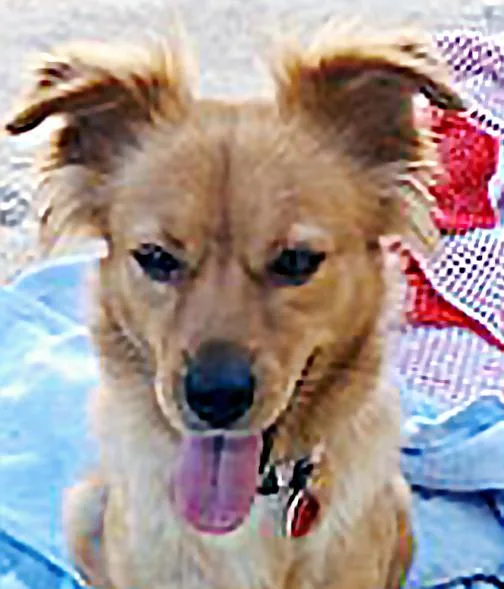 Chloe thumbnail 4