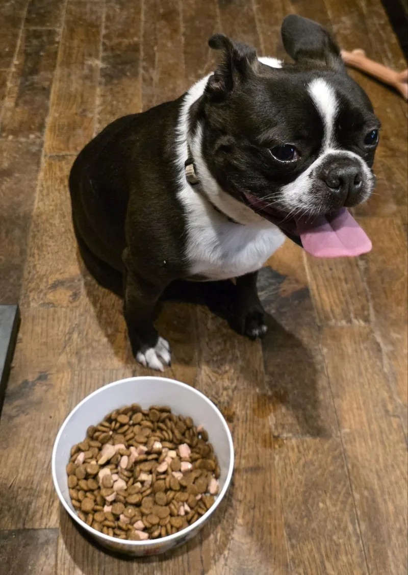 Wally in MO thumbnail 2