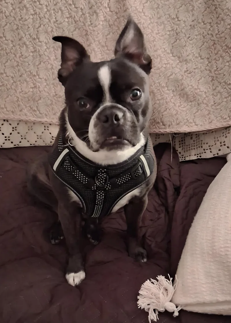 Wally in MO thumbnail 3