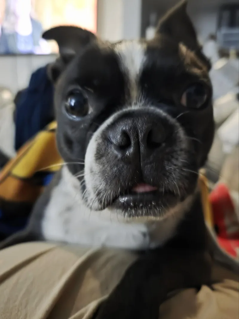 Wally in MO thumbnail 5