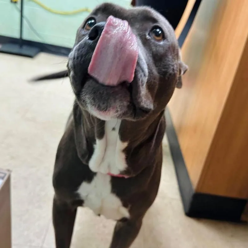 Miss Independent thumbnail 2