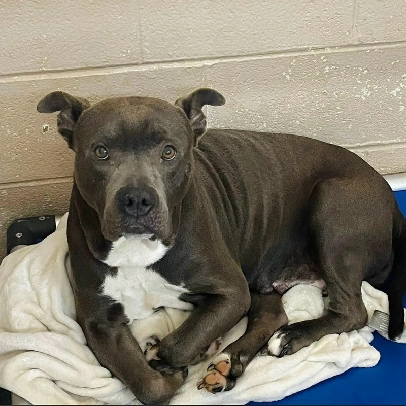 Miss Independent thumbnail 3