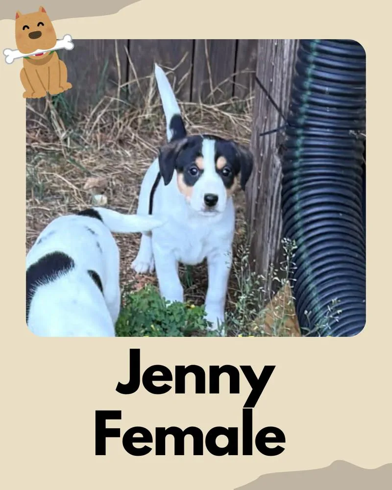 Jenny ~