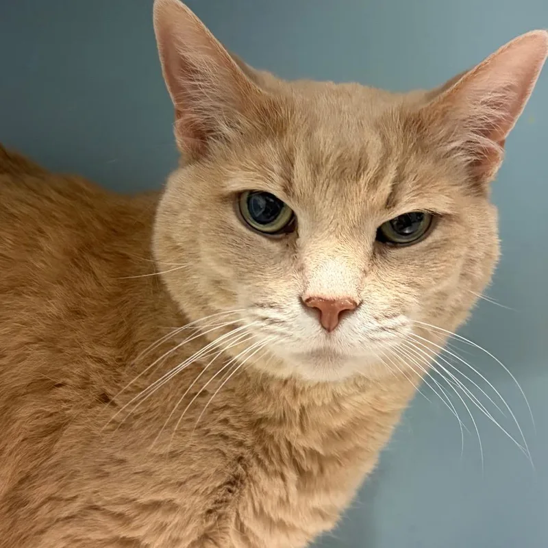 Jane Porter thumbnail 2