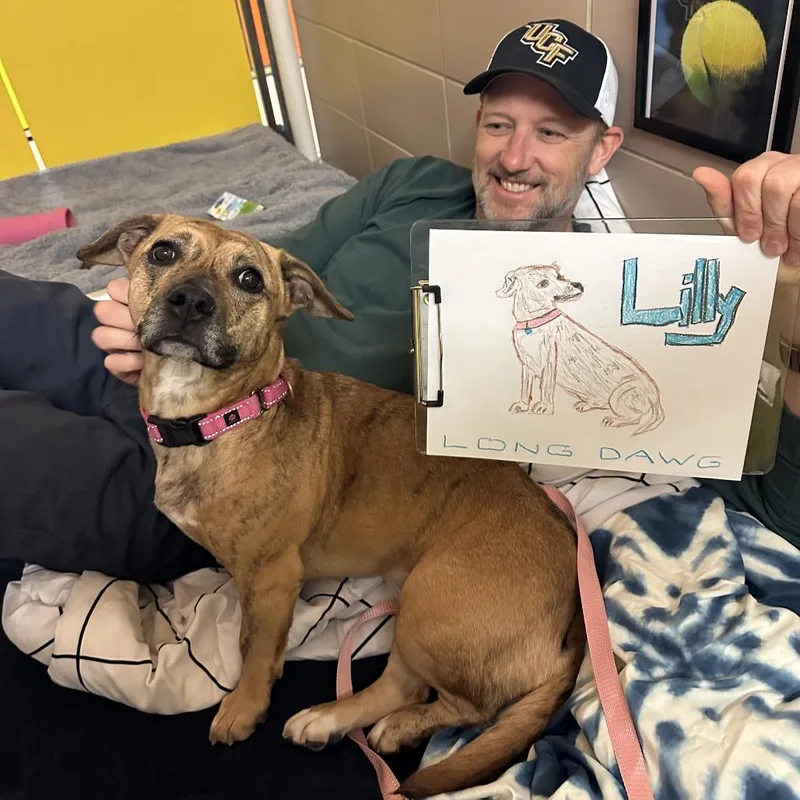 Lily thumbnail 4